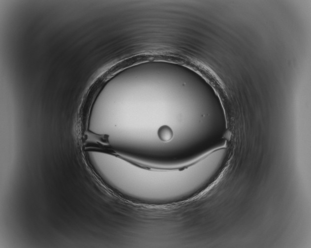 X0000097821114200803201432