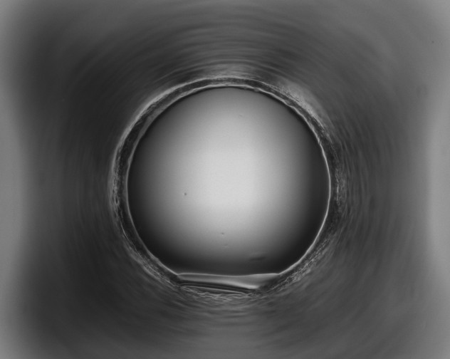 X0000097821116200803201432