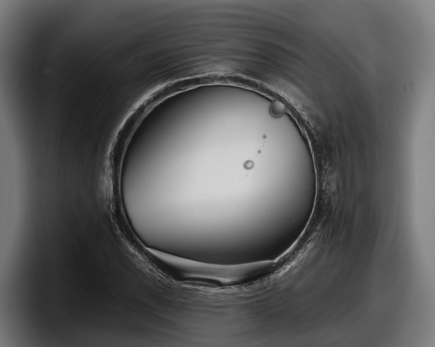 X0000097821118200803201432