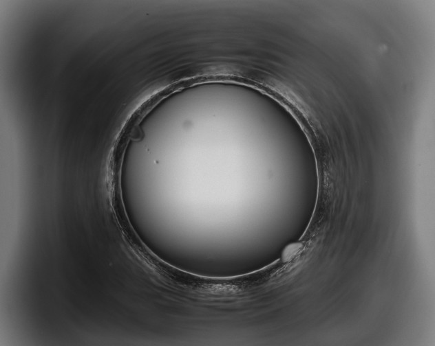 X0000097821119200803201432