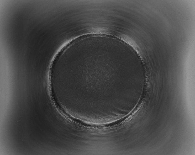 X0000097821120200803201432