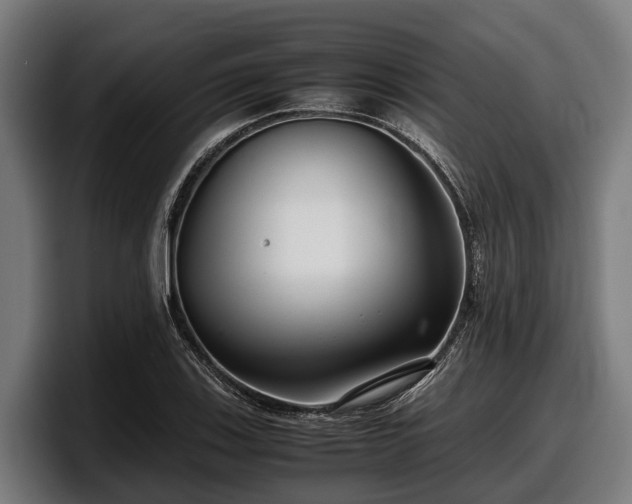 X0000097821123200803201432