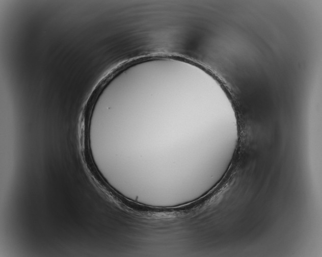 X0000097821126200803201432