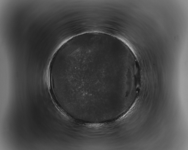 X0000097821127200803201432