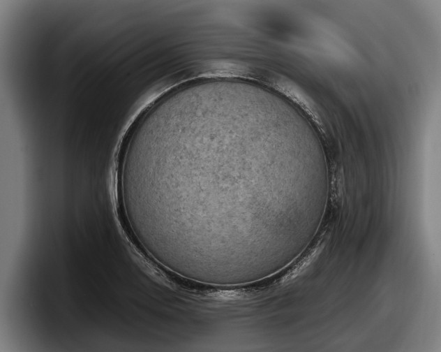 X0000097821130200803201432