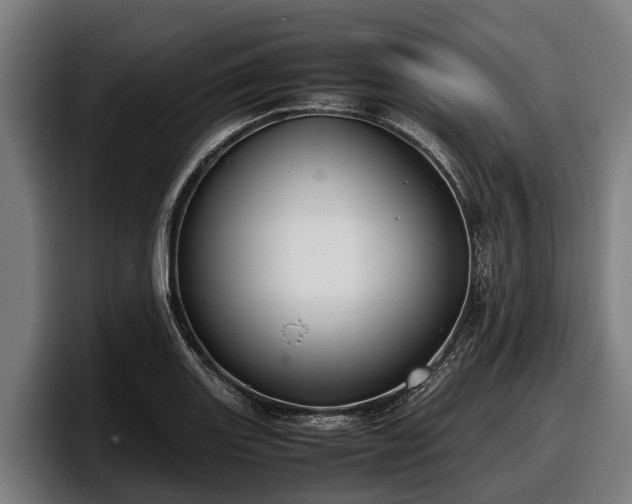 X0000097821131200803201432