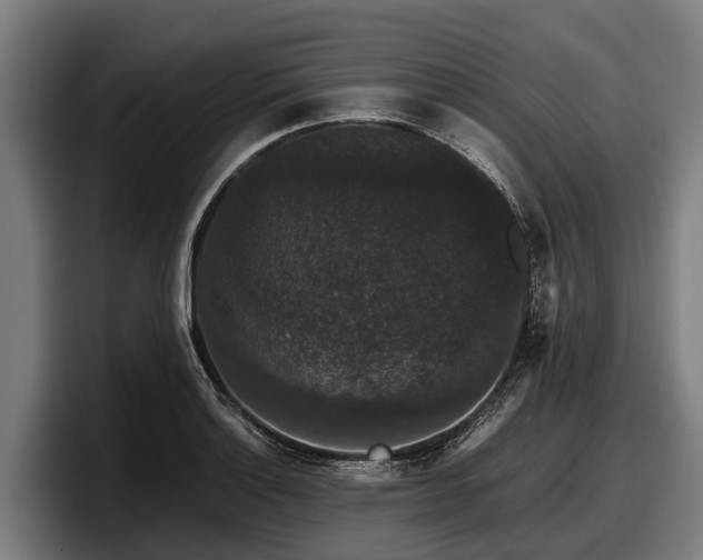 X0000097821132200803201432