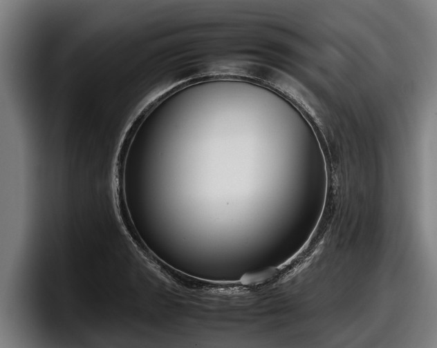 X0000097821133200803201432