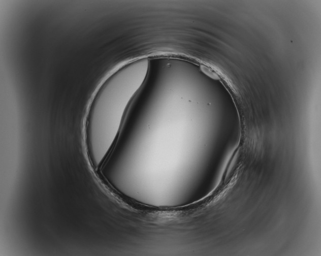 X0000097821134200803201432