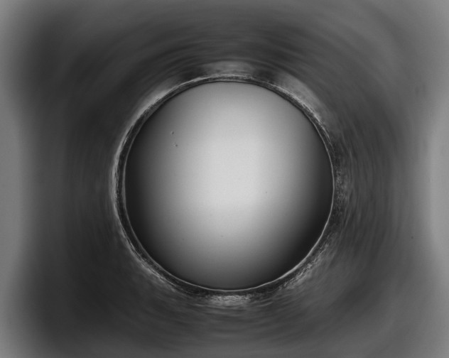 X0000097821135200803201432