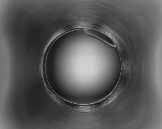 X0000097821138200803201432