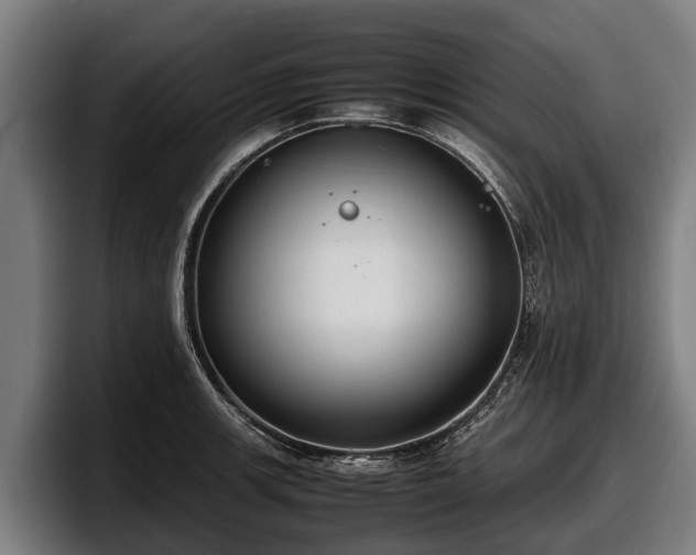 X0000097821139200803201432