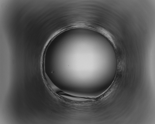 X0000097821146200803201432