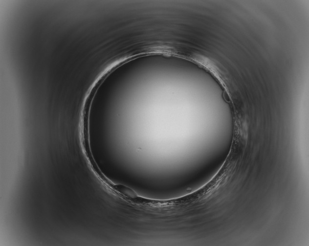 X0000097821147200803201432