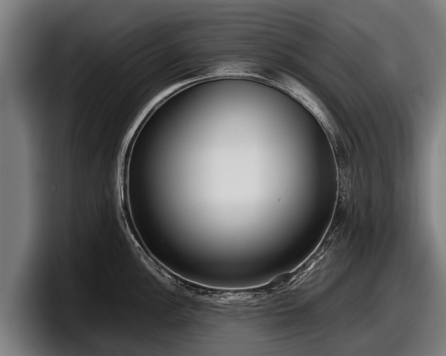 X0000097821148200803201432