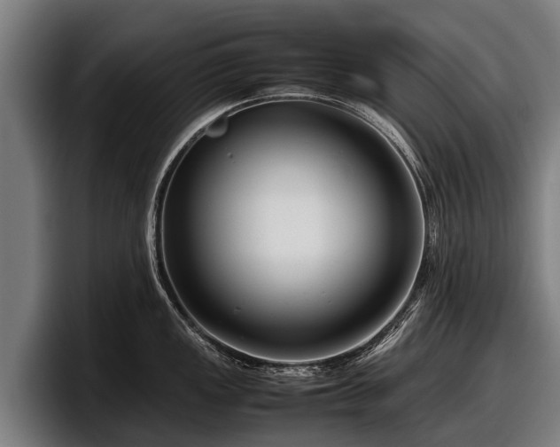 X0000097821149200803201432