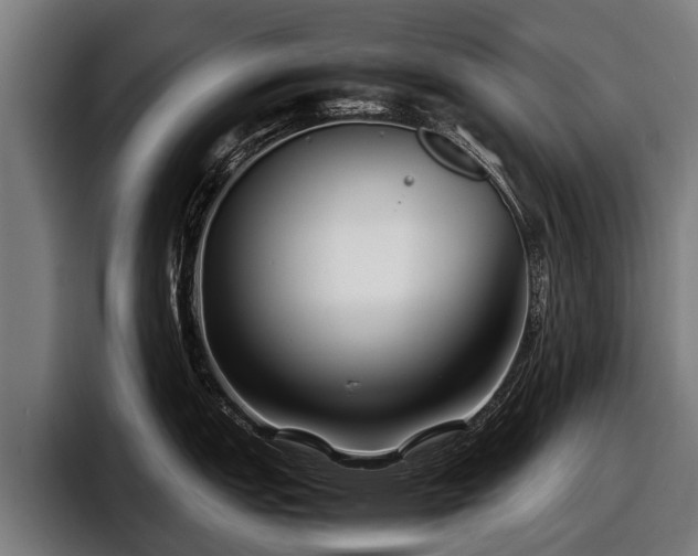 X0000097821151200803201432