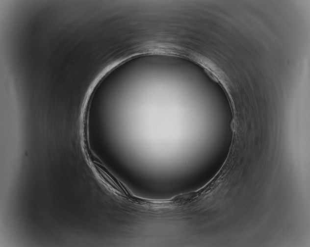 X0000097821152200803201432