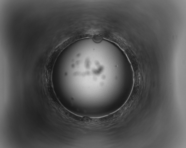 X0000097821158200803201432