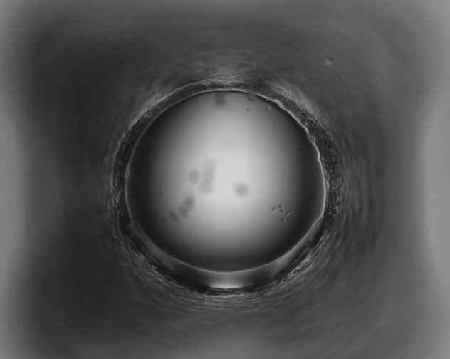 X0000097821160200803201432