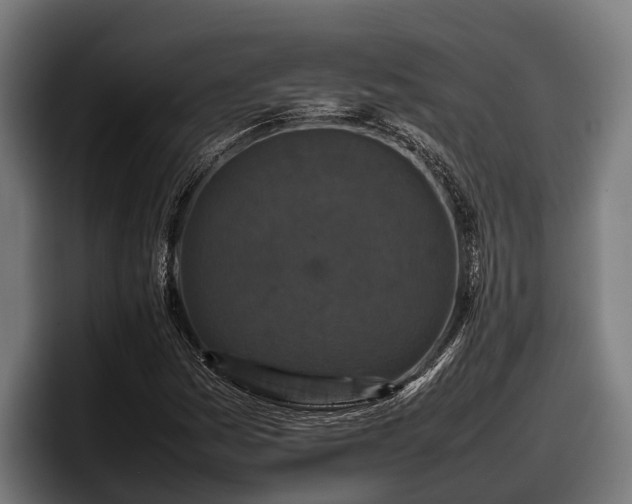 X0000097821161200803201432