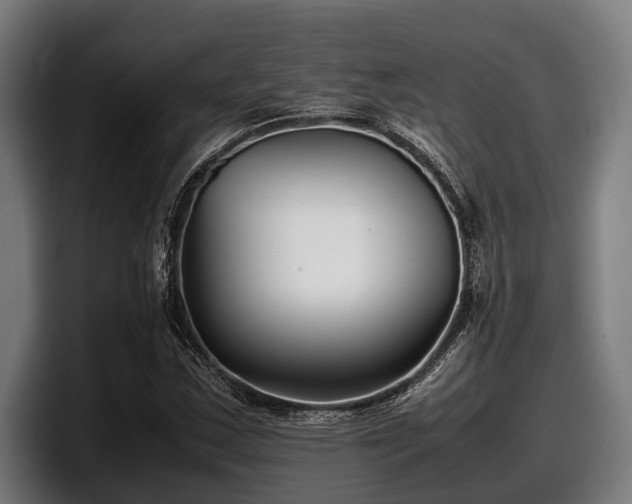 X0000097821163200803201432