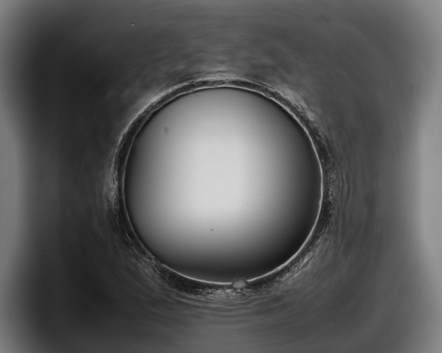 X0000097821167200803201431