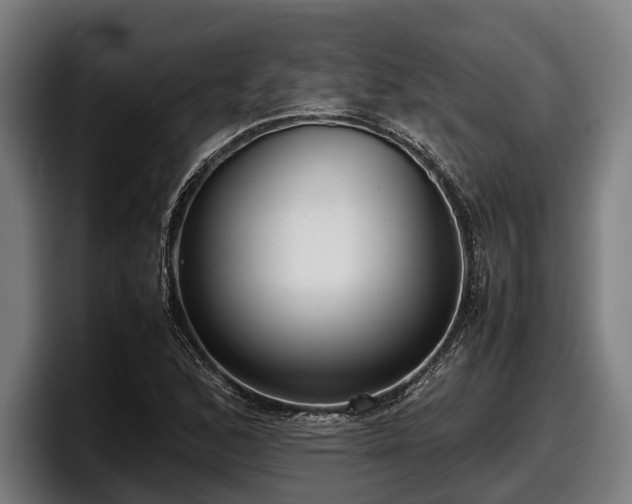 X0000097821168200803201431