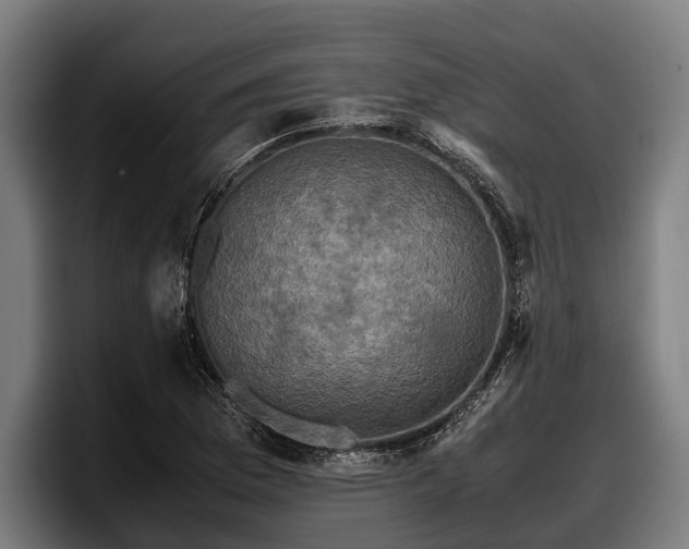 X0000097821169200803201431