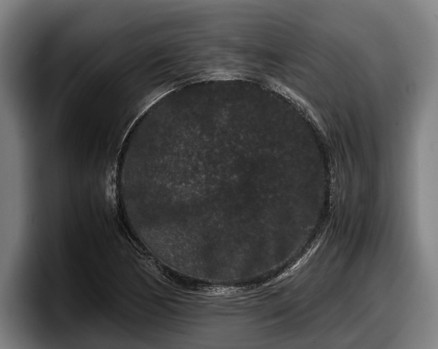 X0000097821170200803201431