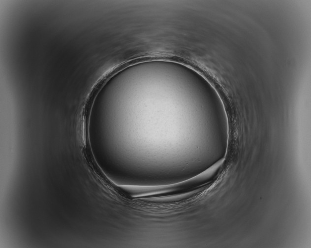 X0000097821171200803201431