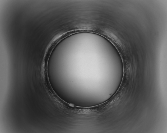 X0000097821172200803201431