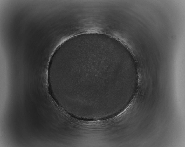 X0000097821174200803201431