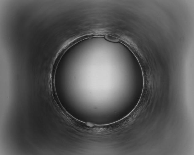 X0000097821176200803201431