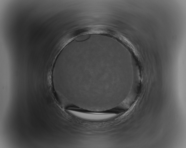 X0000097821177200803201431