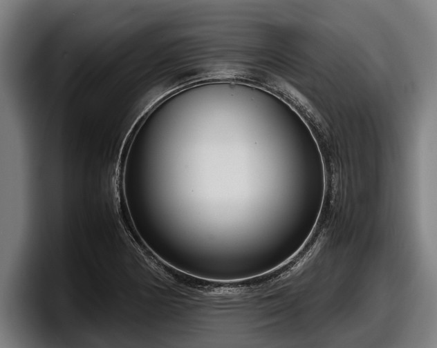 X0000097821178200803201431