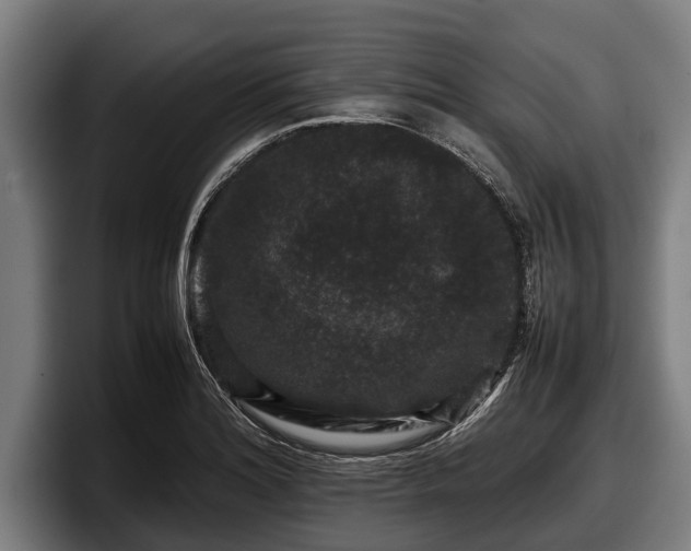 X0000097821180200803201431