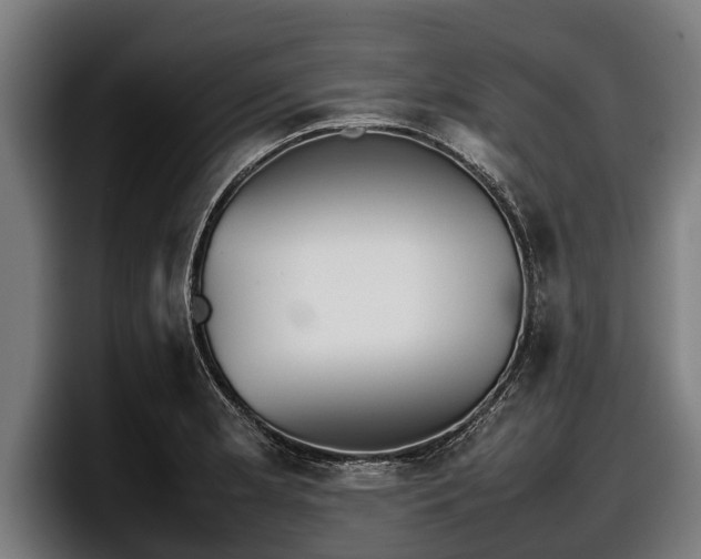 X0000097821181200803201431