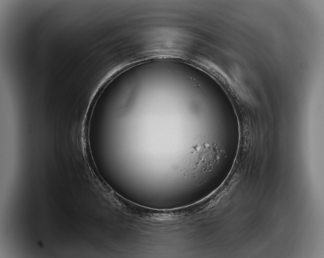 X0000097821182200803201431