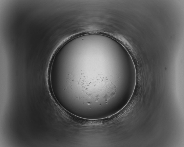 X0000097821183200803201431