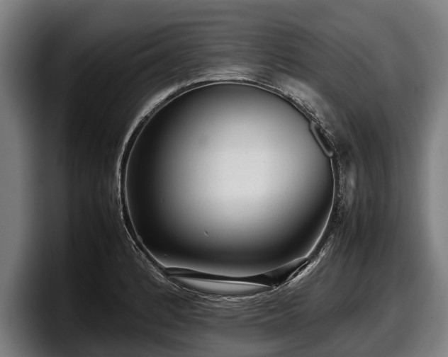 X0000097821184200803201431