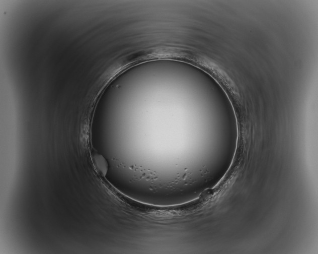 X0000097821185200803201431