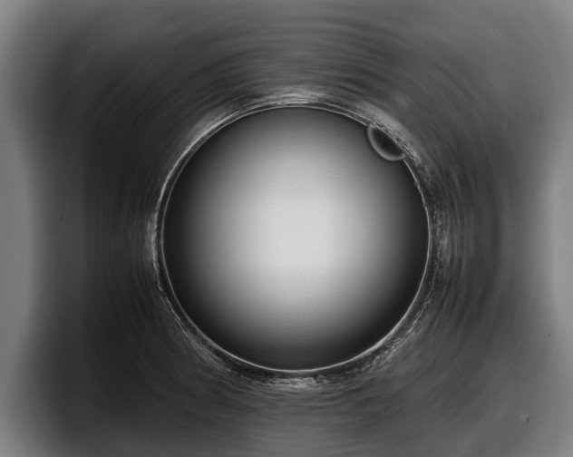 X0000097821186200803201431