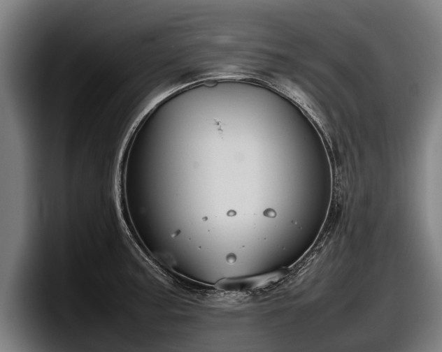 X0000097821187200803201431