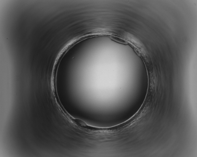 X0000097821188200803201431