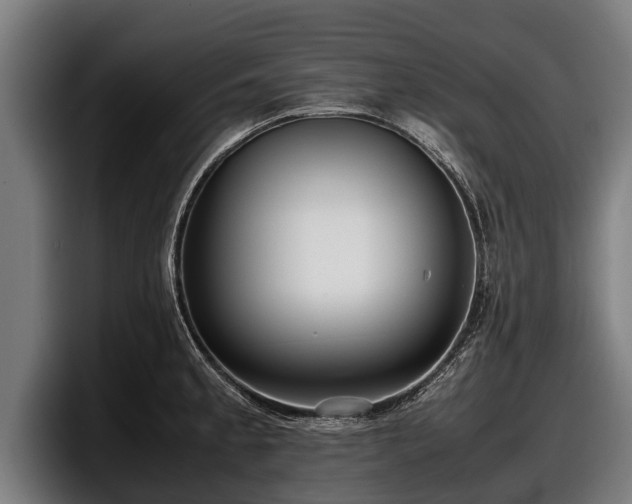 X0000097821189200803201431