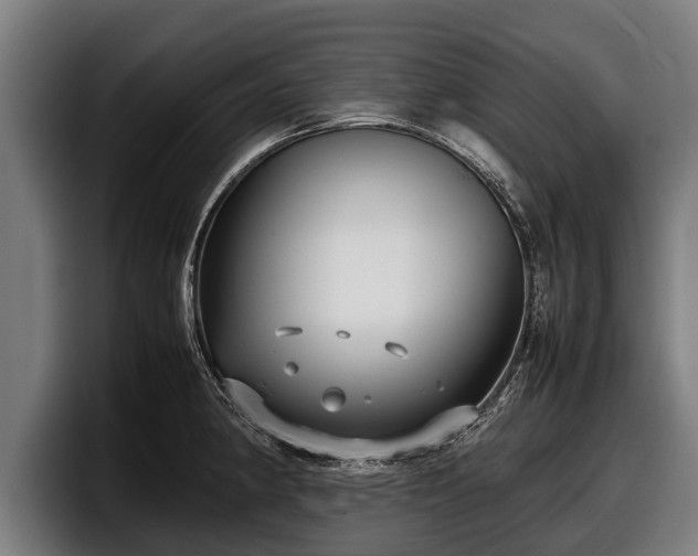 X0000097821190200803201431