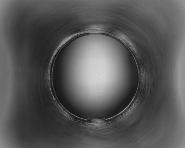 X0000097821192200803201431