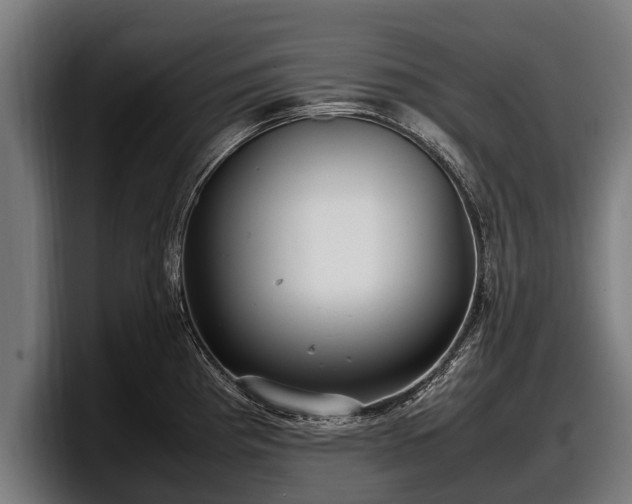 X0000097821193200803201431