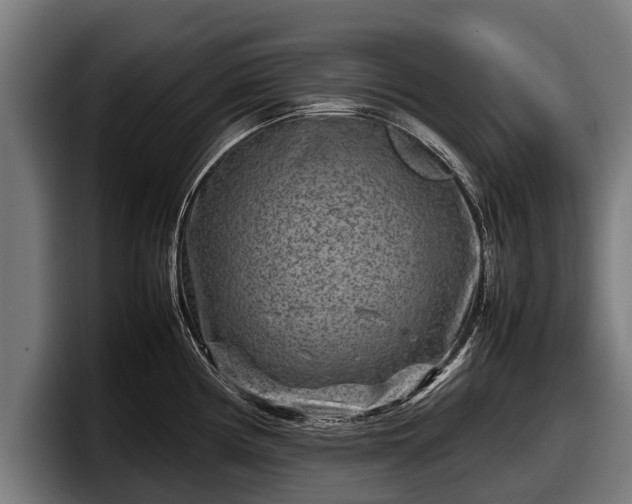 X0000097821194200803201431